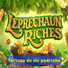 fortuna do mc pedrinho