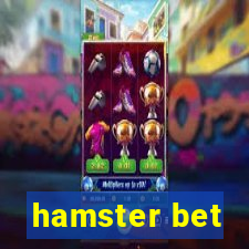 hamster bet