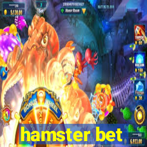 hamster bet