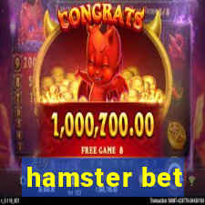 hamster bet