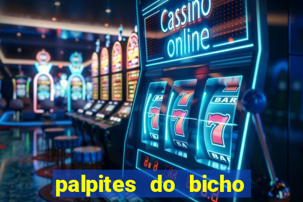 palpites do bicho no celular