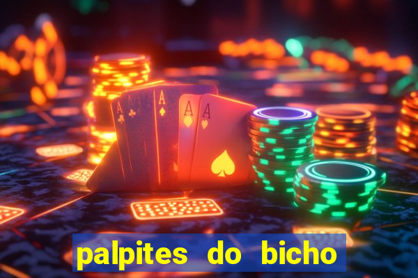 palpites do bicho no celular