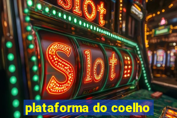 plataforma do coelho