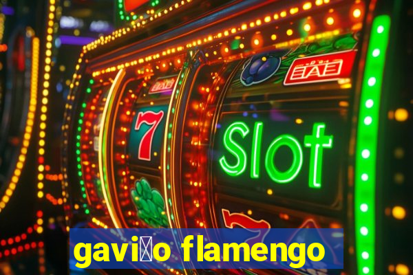 gavi茫o flamengo