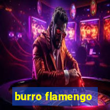 burro flamengo