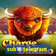 sub16 telegram