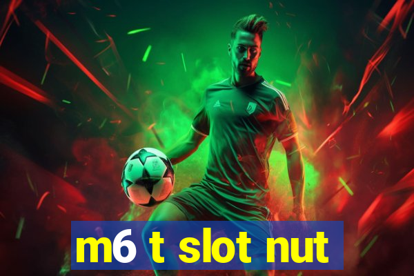 m6 t slot nut