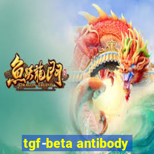 tgf-beta antibody