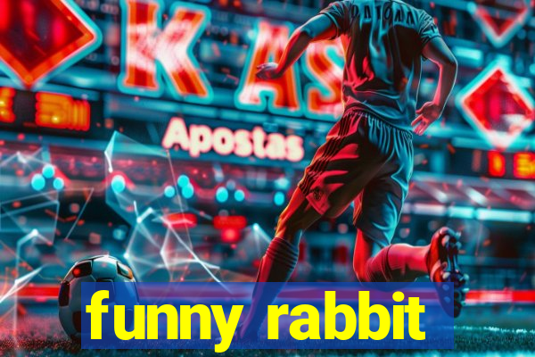 funny rabbit