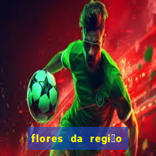 flores da regi茫o sul do brasil