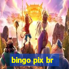 bingo pix br