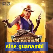 sine guanambi