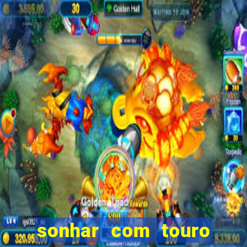 sonhar com touro mega sena