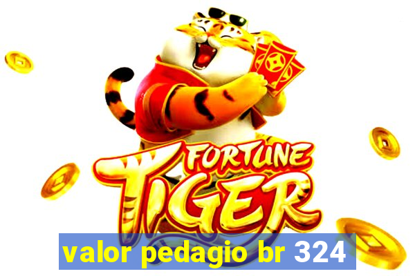 valor pedagio br 324