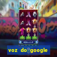 voz do google tradutor homem