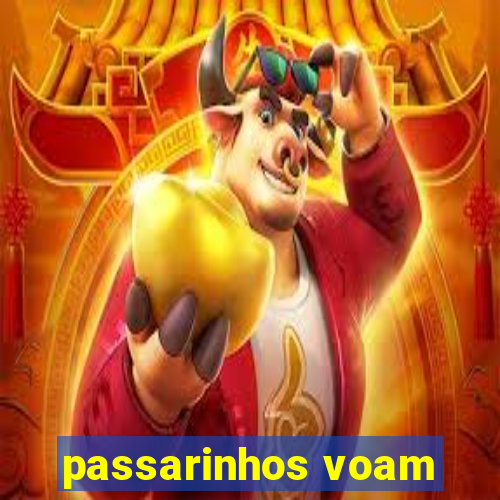 passarinhos voam