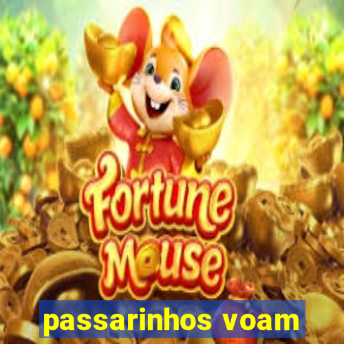 passarinhos voam