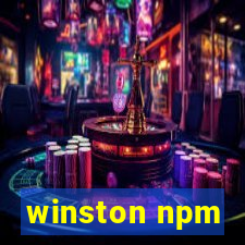 winston npm