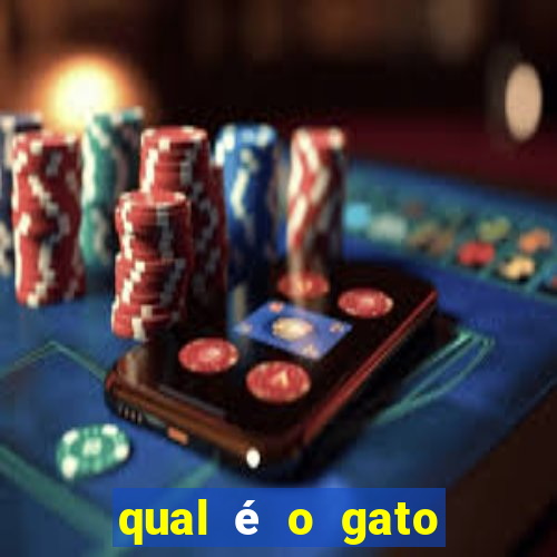 qual é o gato mais feio