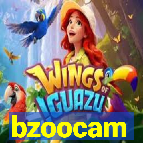 bzoocam