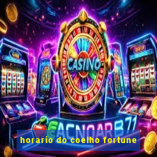 horario do coelho fortune