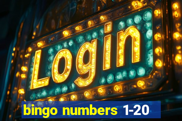 bingo numbers 1-20