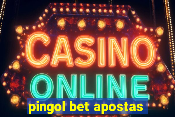 pingol bet apostas