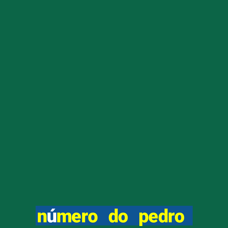 número do pedro do flamengo