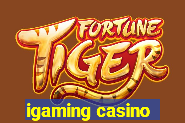 igaming casino