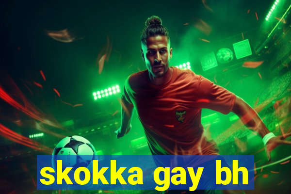 skokka gay bh