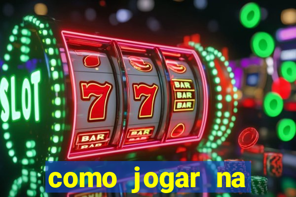 como jogar na lotinha do jogo do bicho