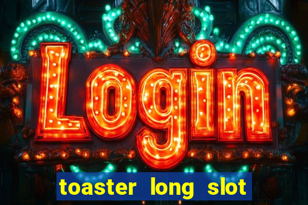 toaster long slot 2 slice