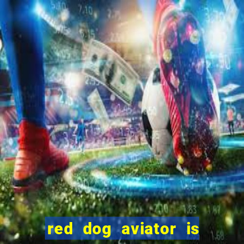 red dog aviator is real or fake