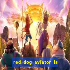 red dog aviator is real or fake