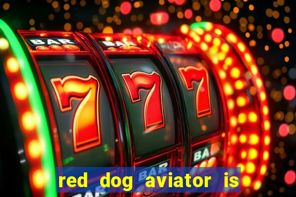 red dog aviator is real or fake