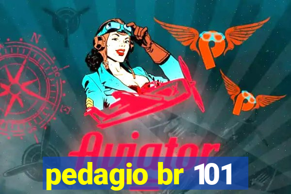 pedagio br 101