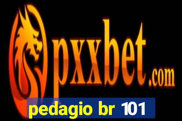 pedagio br 101