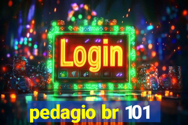 pedagio br 101