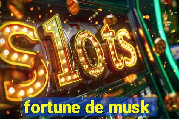 fortune de musk