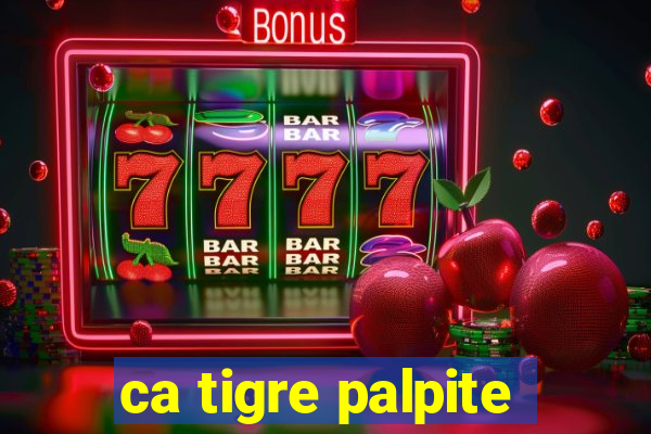 ca tigre palpite