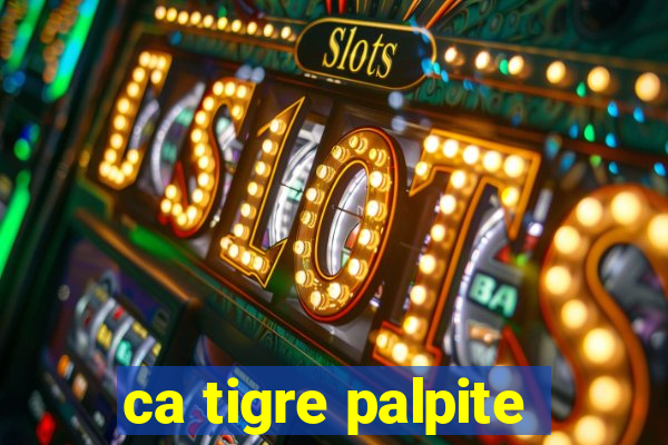 ca tigre palpite