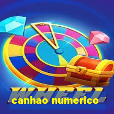 canhao numerico