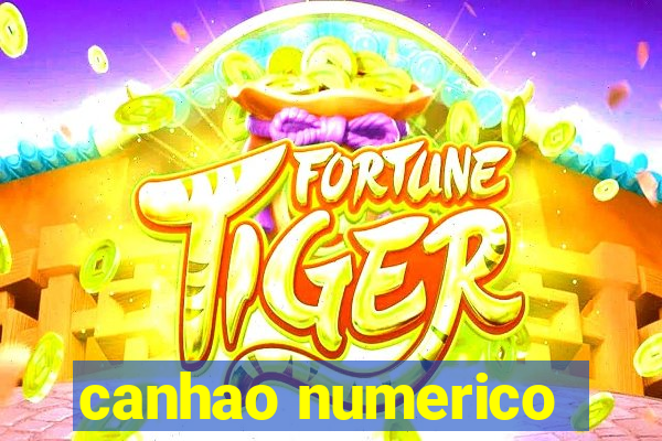 canhao numerico