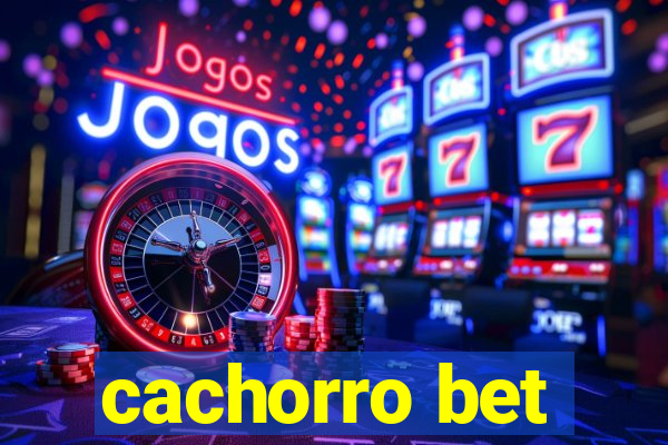 cachorro bet