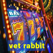 vet rabbit