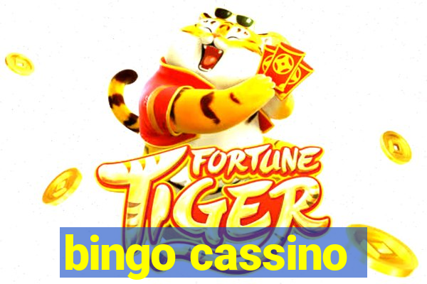 bingo cassino