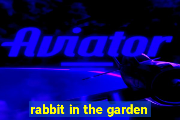 rabbit in the garden