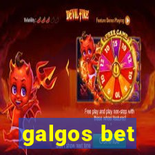 galgos bet