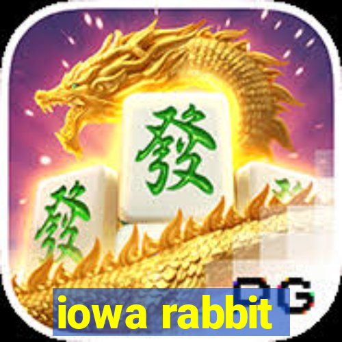 iowa rabbit