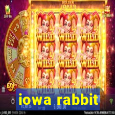 iowa rabbit